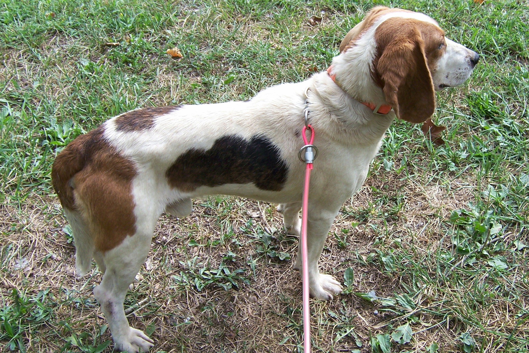 rudypic.jpg